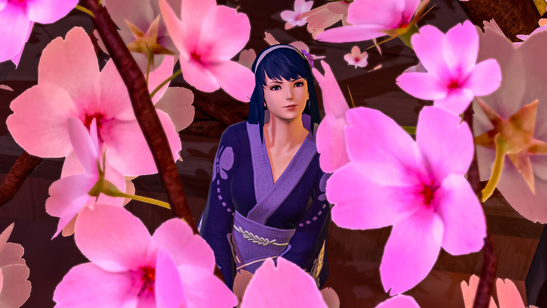 Under cherry blossoms